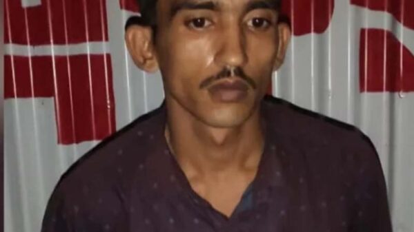 ভাণ্ডারিয়ায় ধর্ষণ মামলায় এক ব্যক্তিকে জেলহাজতে প্রেরণ